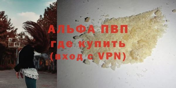 прущие грибы Верхнеуральск