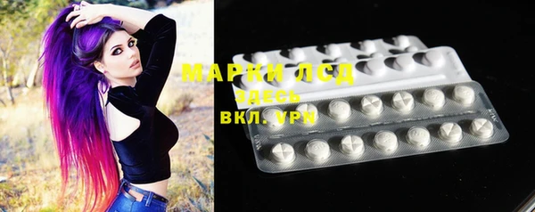 стаф Верея