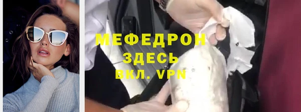 стаф Верея