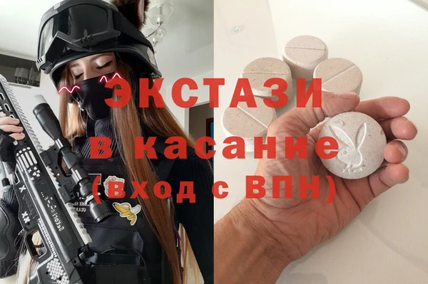 стаф Верея