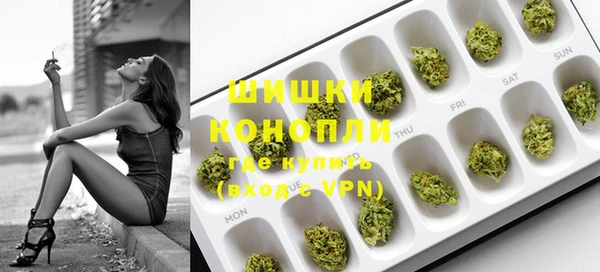 стаф Верея